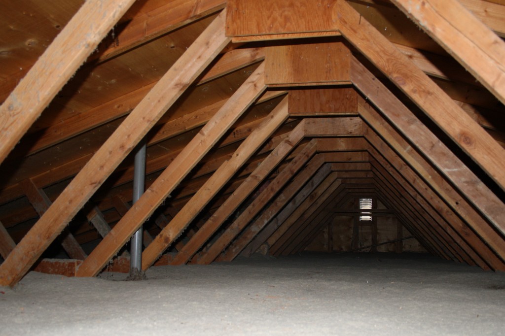 perfect attic