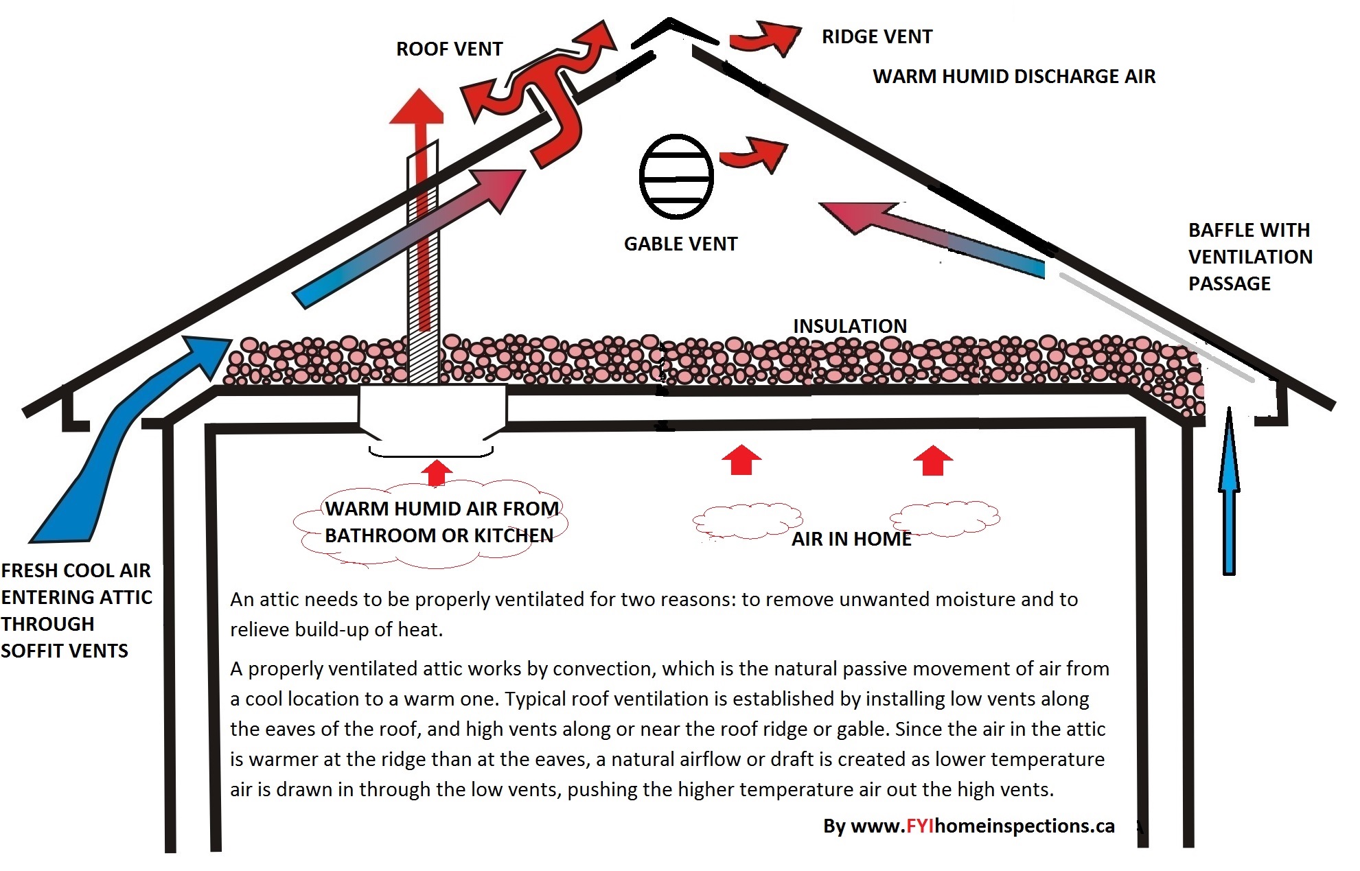 Proper Attic Ventilation Diagram